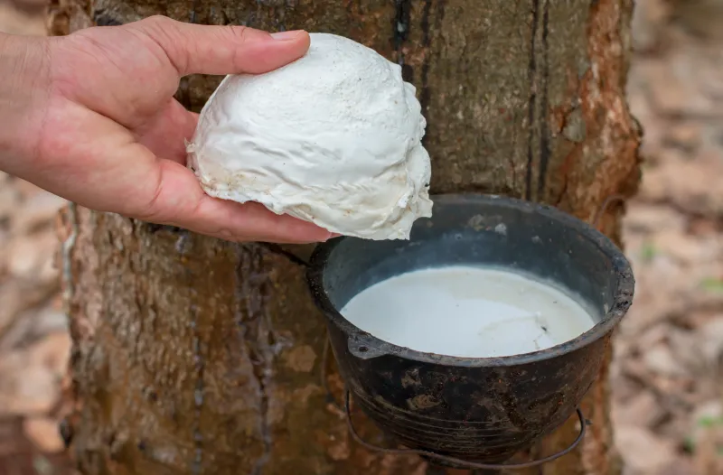 Raw Rubber