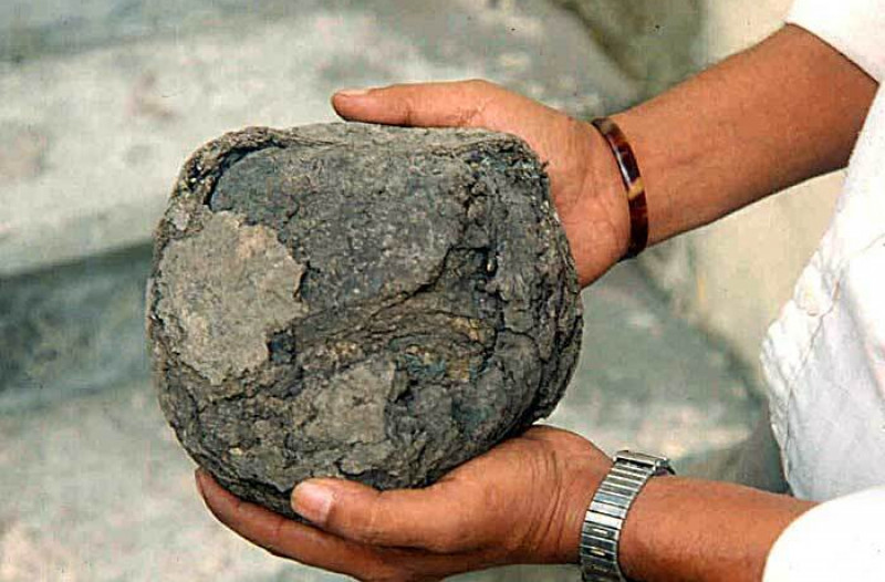 The Origins of Rubber